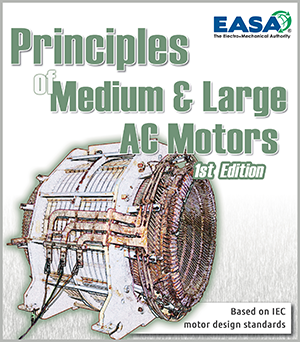 Principles of Medium & Large AC Motors